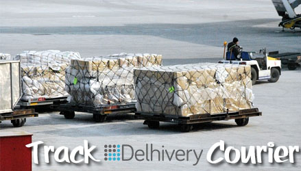 Track Delhivery Courier