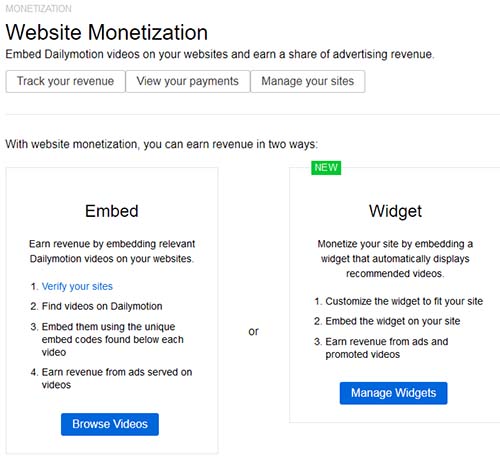 Website Monetization