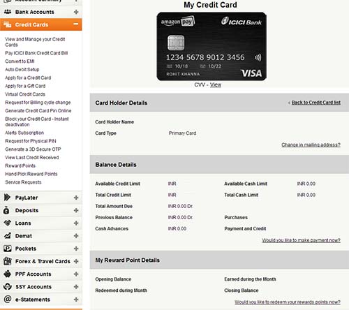 Amazon Pay Card Digital Copy Net Banking