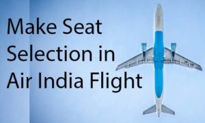 seat assignment air india