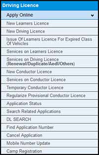 Driving Licence Services