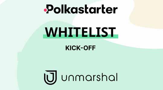 Unmarshal Whitelist For Polkastarter IDO Question Answers Solved