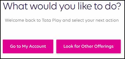 Tata Play What Would You Like to Do