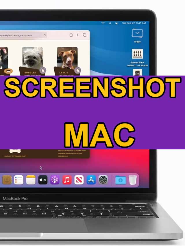 How to Screenshot on Mac » Reveal That