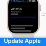 Update Apple Watch