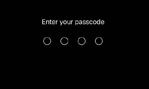 Enter Passcode