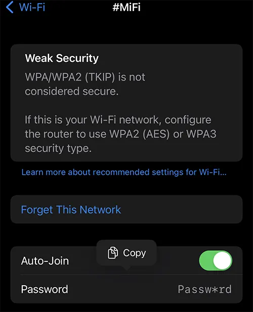 View WiFi Password