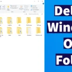 Delete Windows Old Folder