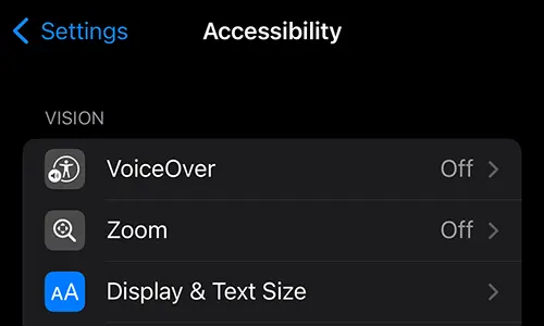 iPhone Accessibility Zoom