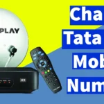 Change Mobile Number in Tata Play