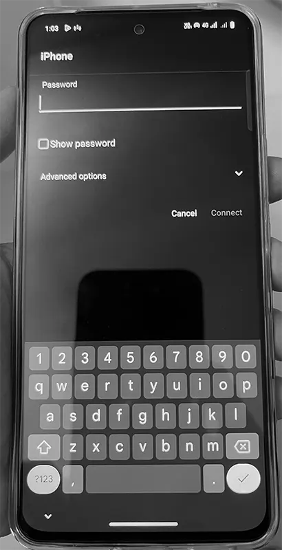 iPhone Enter Password