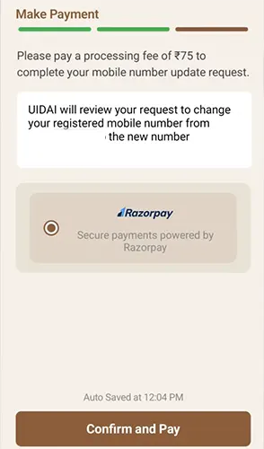 Update Mobile Make Payment