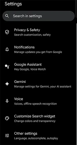 Search, Assistant & Voice