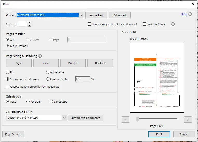 Print Option